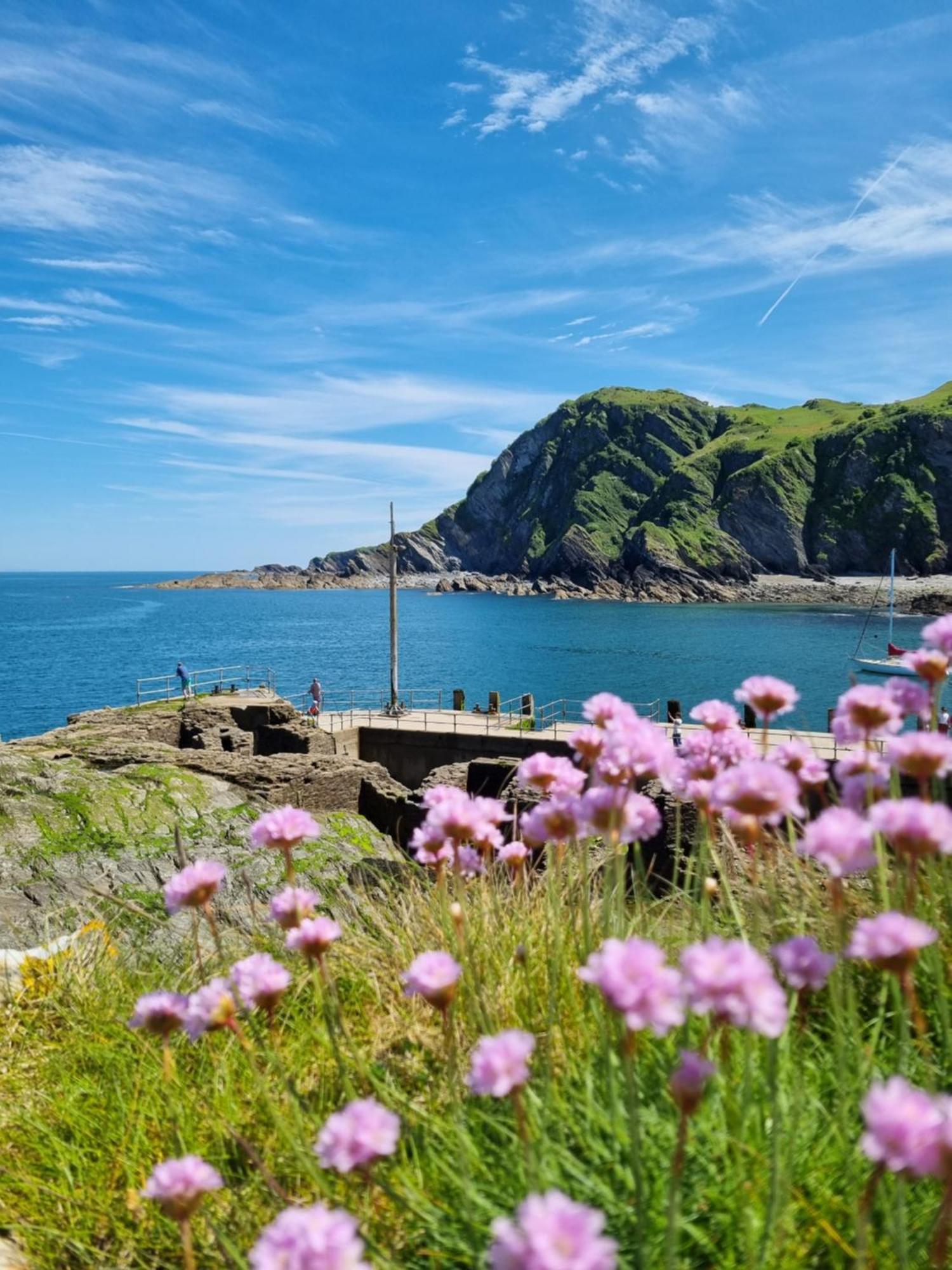 Kittiwake Apartman Ilfracombe Kültér fotó